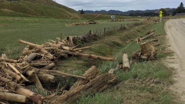 东海岸林业行业在“生态灾难”中面临社区反抗