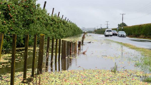 加布里埃尔飓风:专家称，新鲜农产品价格可能上涨